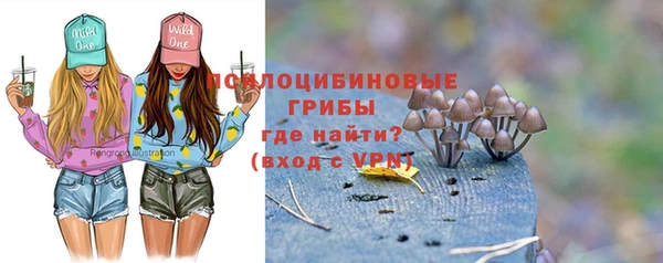 бошки Сосновоборск