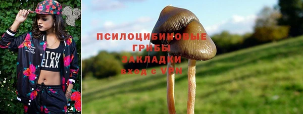 тгк Сосновка