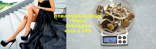 тгк Сосновка