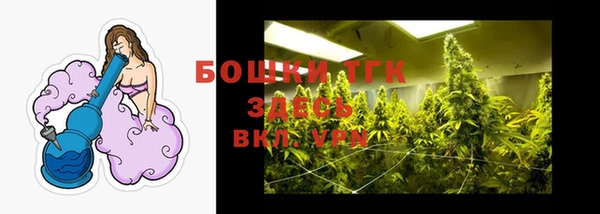 гидра Струнино