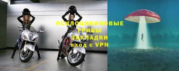 бошки Сосновоборск